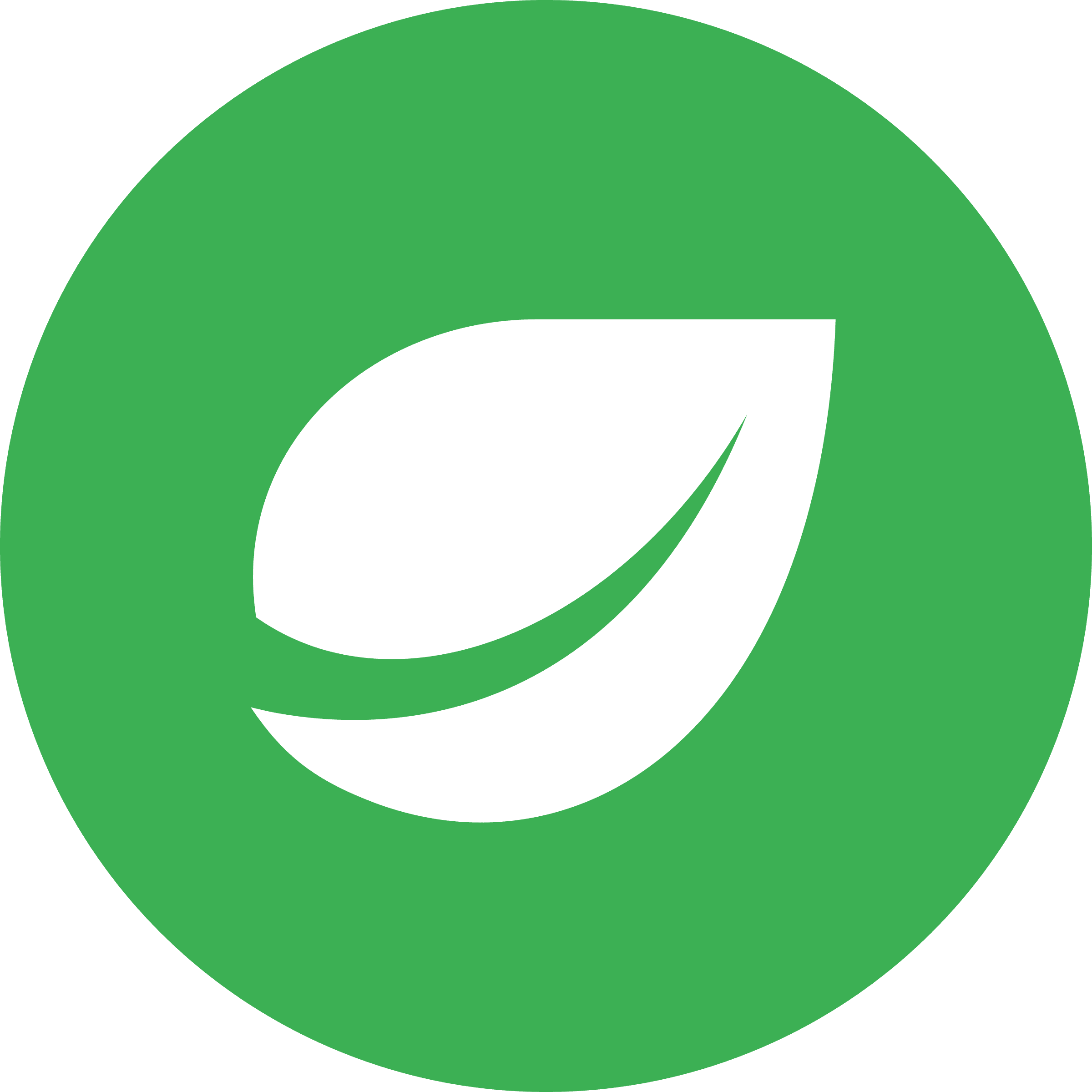 Bitfinex